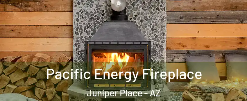 Pacific Energy Fireplace Juniper Place - AZ