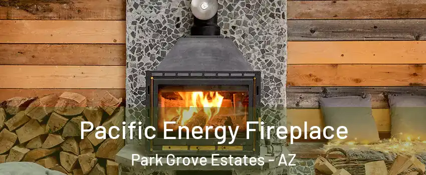 Pacific Energy Fireplace Park Grove Estates - AZ