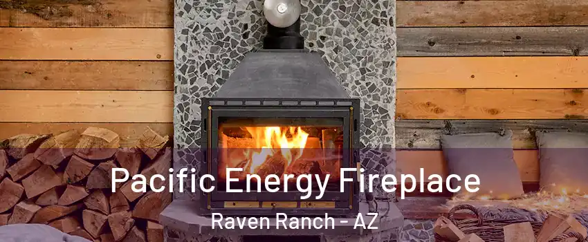 Pacific Energy Fireplace Raven Ranch - AZ