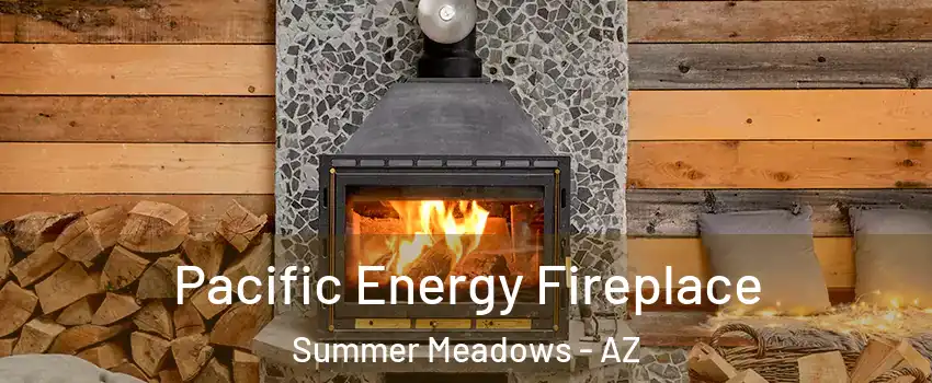 Pacific Energy Fireplace Summer Meadows - AZ