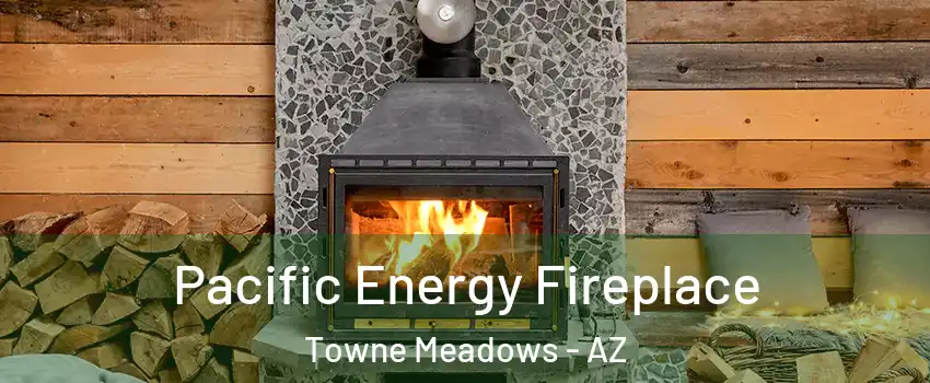 Pacific Energy Fireplace Towne Meadows - AZ