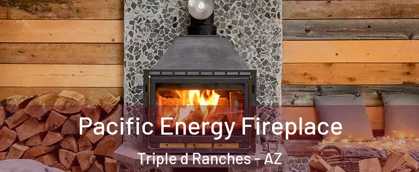 Pacific Energy Fireplace Triple d Ranches - AZ