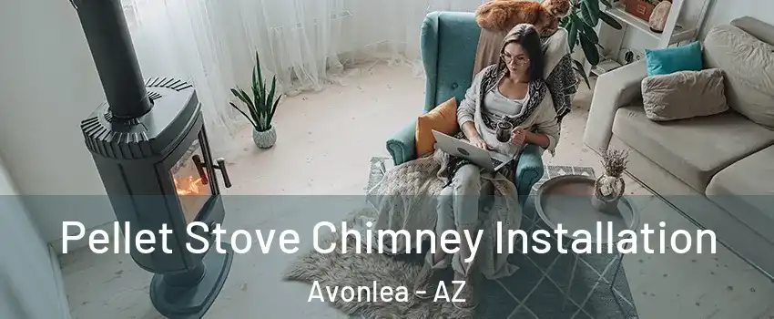 Pellet Stove Chimney Installation Avonlea - AZ