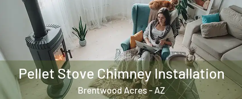 Pellet Stove Chimney Installation Brentwood Acres - AZ
