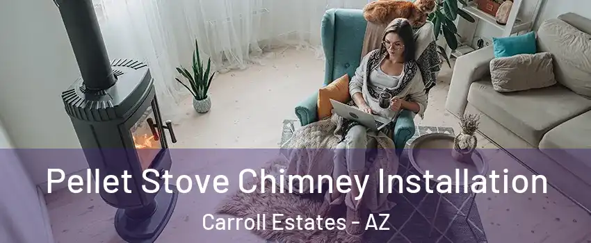Pellet Stove Chimney Installation Carroll Estates - AZ