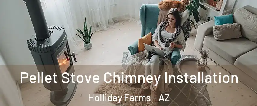 Pellet Stove Chimney Installation Holliday Farms - AZ