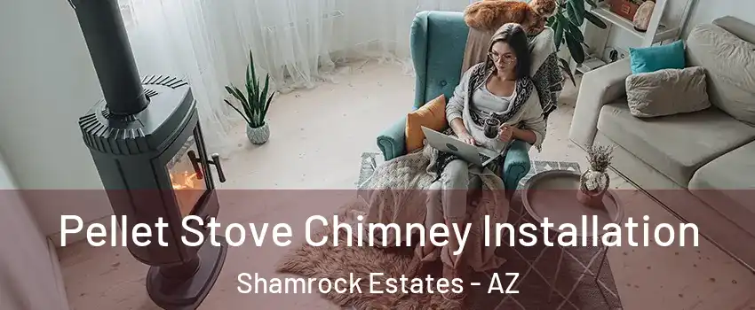 Pellet Stove Chimney Installation Shamrock Estates - AZ