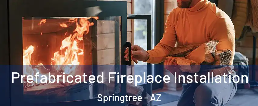 Prefabricated Fireplace Installation Springtree - AZ