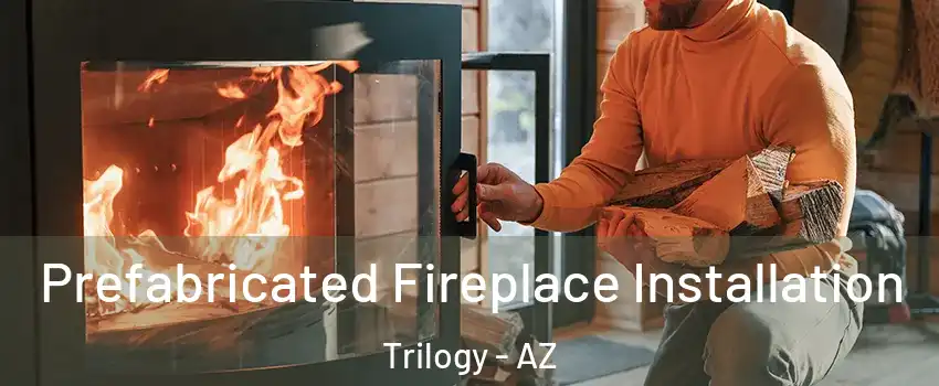 Prefabricated Fireplace Installation Trilogy - AZ