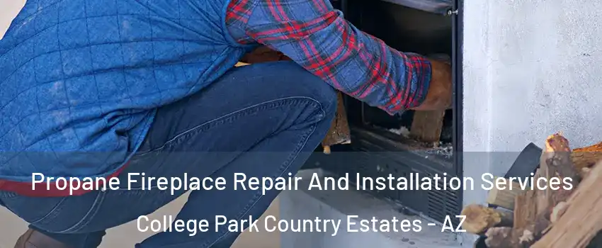Propane Fireplace Repair And Installation Services College Park Country Estates - AZ