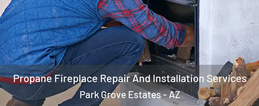Propane Fireplace Repair And Installation Services Park Grove Estates - AZ
