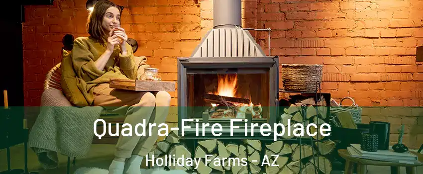 Quadra-Fire Fireplace Holliday Farms - AZ