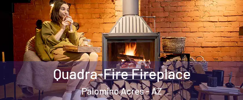 Quadra-Fire Fireplace Palomino Acres - AZ