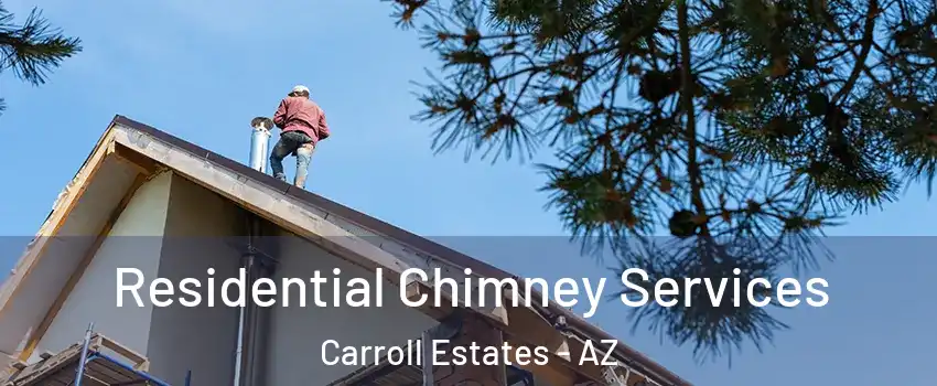 Residential Chimney Services Carroll Estates - AZ