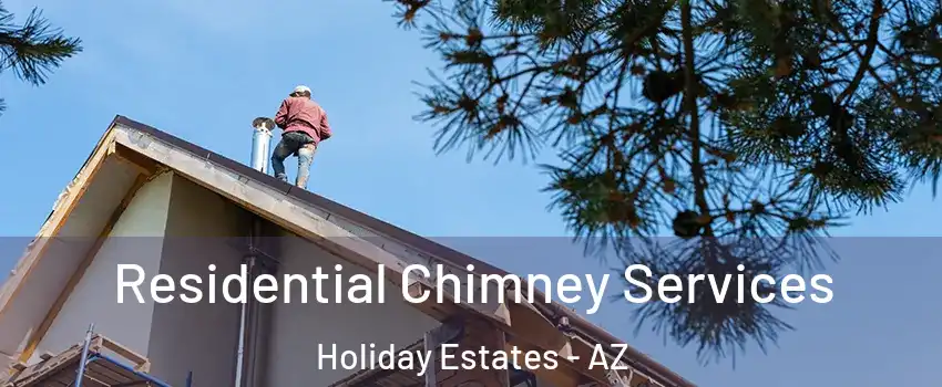 Residential Chimney Services Holiday Estates - AZ