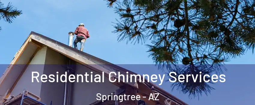 Residential Chimney Services Springtree - AZ