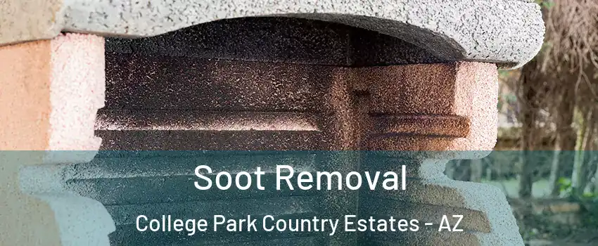 Soot Removal College Park Country Estates - AZ