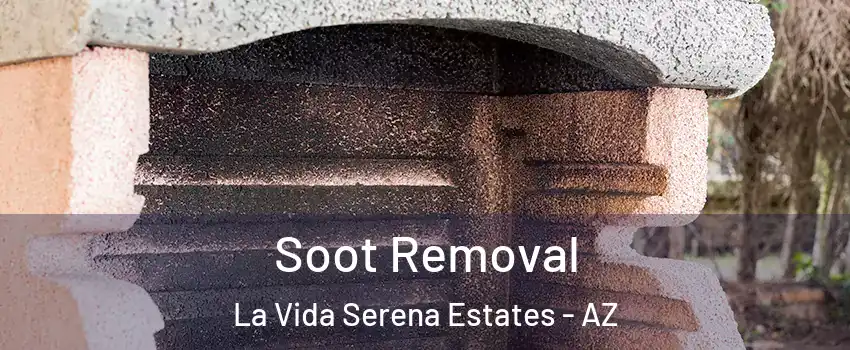 Soot Removal La Vida Serena Estates - AZ