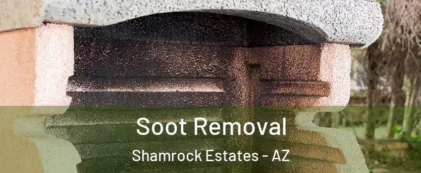 Soot Removal Shamrock Estates - AZ