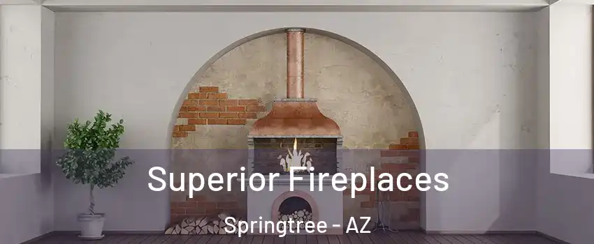 Superior Fireplaces Springtree - AZ