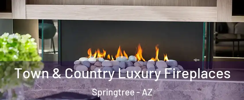 Town & Country Luxury Fireplaces Springtree - AZ
