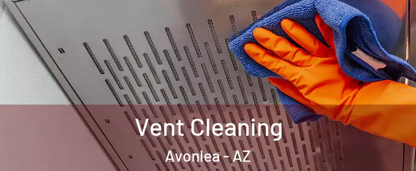 Vent Cleaning Avonlea - AZ
