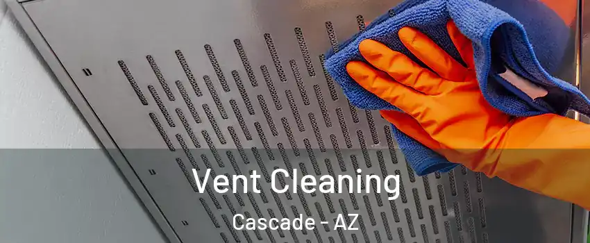 Vent Cleaning Cascade - AZ