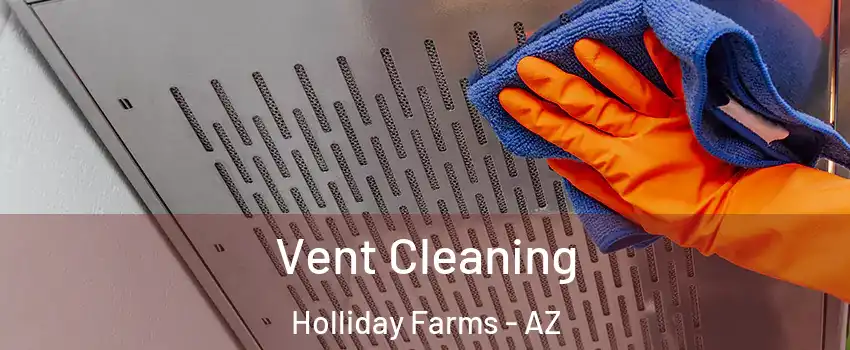 Vent Cleaning Holliday Farms - AZ