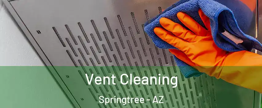 Vent Cleaning Springtree - AZ