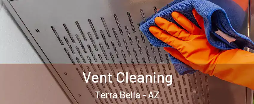 Vent Cleaning Terra Bella - AZ