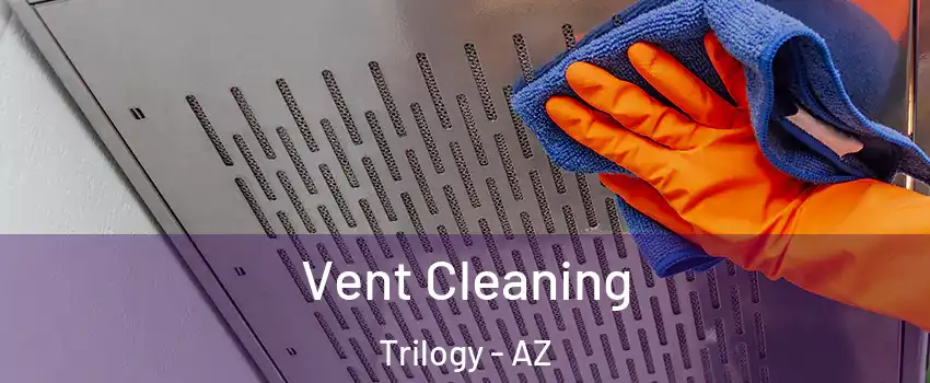Vent Cleaning Trilogy - AZ
