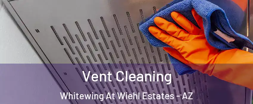 Vent Cleaning Whitewing At Wiehl Estates - AZ