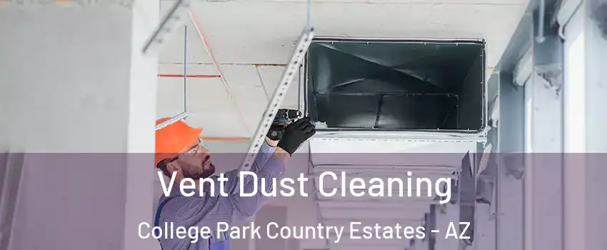 Vent Dust Cleaning College Park Country Estates - AZ