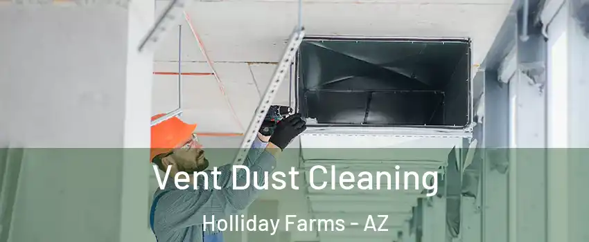 Vent Dust Cleaning Holliday Farms - AZ