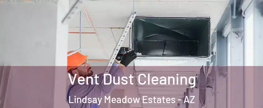 Vent Dust Cleaning Lindsay Meadow Estates - AZ