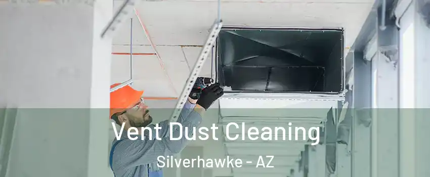 Vent Dust Cleaning Silverhawke - AZ