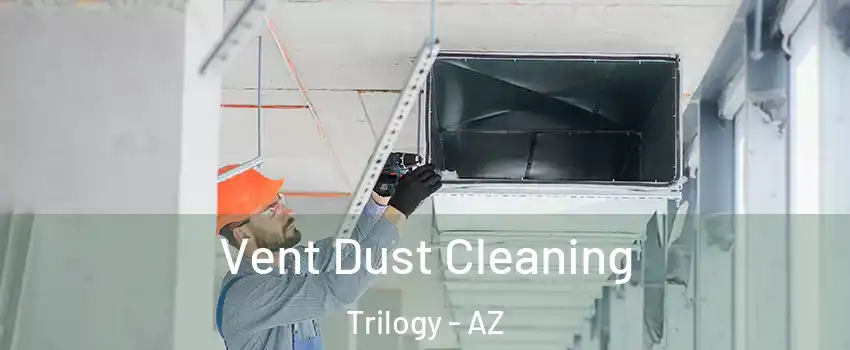 Vent Dust Cleaning Trilogy - AZ