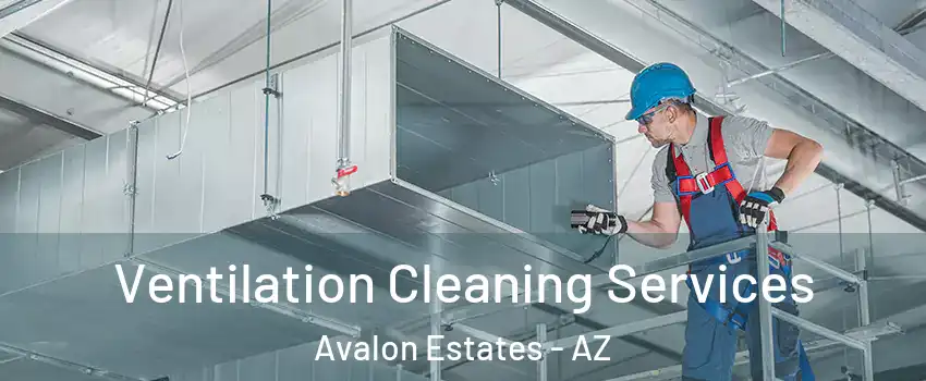 Ventilation Cleaning Services Avalon Estates - AZ