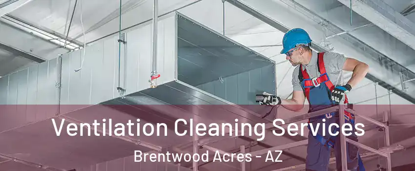 Ventilation Cleaning Services Brentwood Acres - AZ