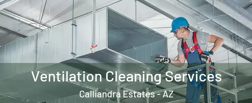 Ventilation Cleaning Services Calliandra Estates - AZ