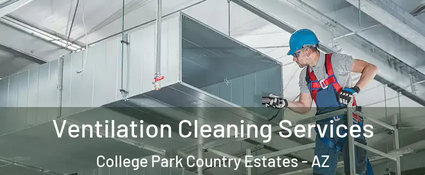 Ventilation Cleaning Services College Park Country Estates - AZ