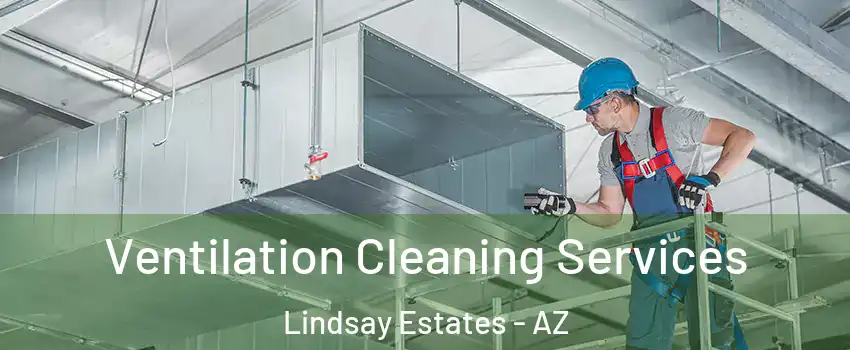 Ventilation Cleaning Services Lindsay Estates - AZ