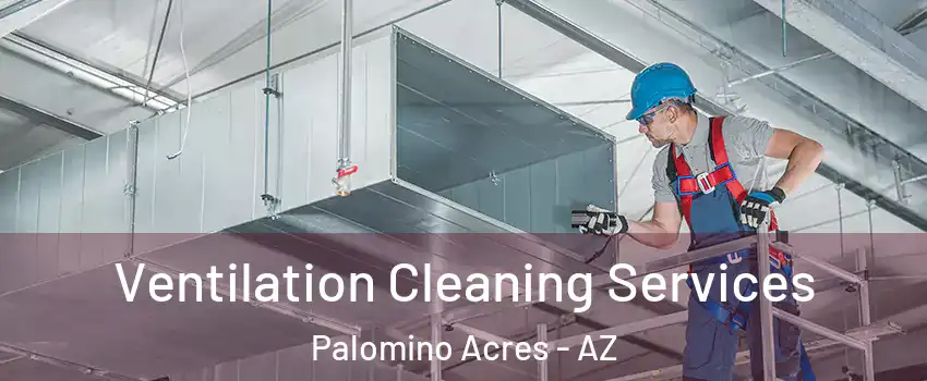 Ventilation Cleaning Services Palomino Acres - AZ