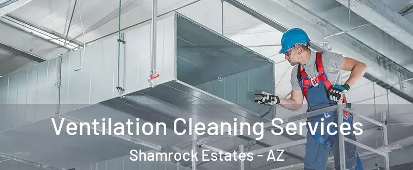 Ventilation Cleaning Services Shamrock Estates - AZ