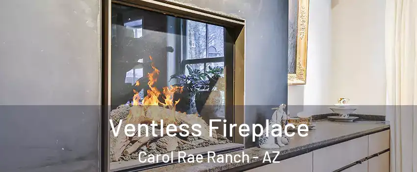 Ventless Fireplace Carol Rae Ranch - AZ