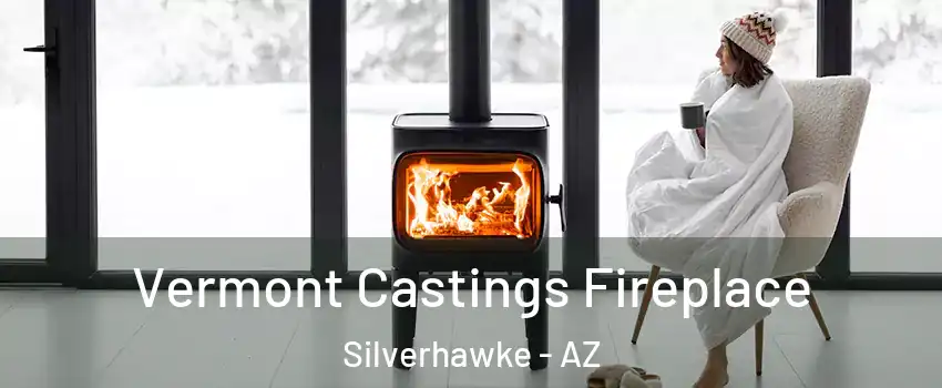 Vermont Castings Fireplace Silverhawke - AZ