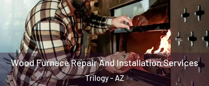Wood Furnace Repair And Installation Services Trilogy - AZ