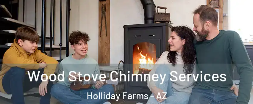 Wood Stove Chimney Services Holliday Farms - AZ