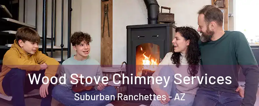 Wood Stove Chimney Services Suburban Ranchettes - AZ