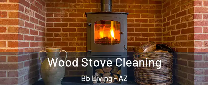 Wood Stove Cleaning Bb Living - AZ
